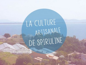 Culture Artisanale Spiruline