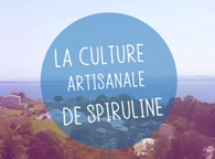 Découvrez la culture artisanale de spiruline