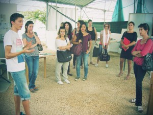 Explication de la méthode de production artisanale à la spiruline de provence