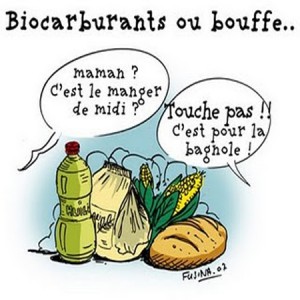 biocarburant manger ou conduire il faut choisir