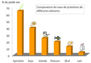 rendement protéines spiruline