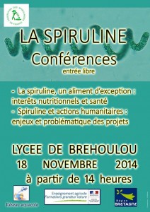 Affiche Colloque Brehoulou 2014