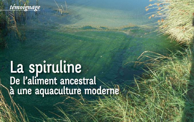 Article Spiruline Nature&Progrès